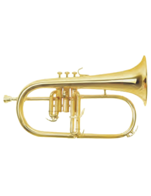 Флюгельгорн MAXTONE TFC51LM Флюгельгорн MAXTONE TFC51LM