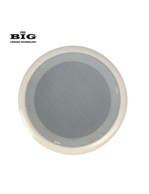 Вологостійкий стельовий динамік BIG CS2607