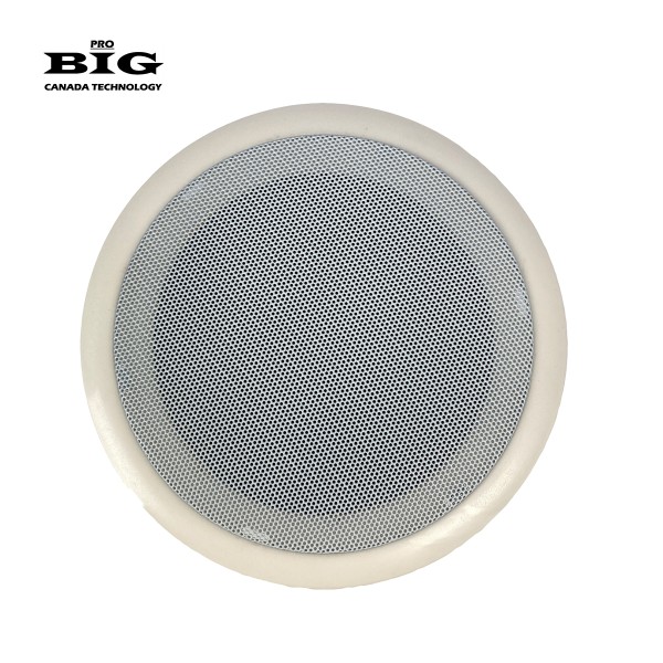 Вологостійкий стельовий динамік BIG CS2607
