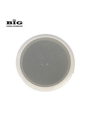 Вологостійкий стельовий динамік BIG CS2609