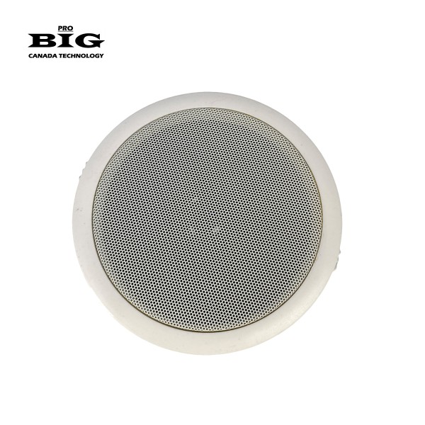 Вологостійкий стельовий динамік BIG CS2609
