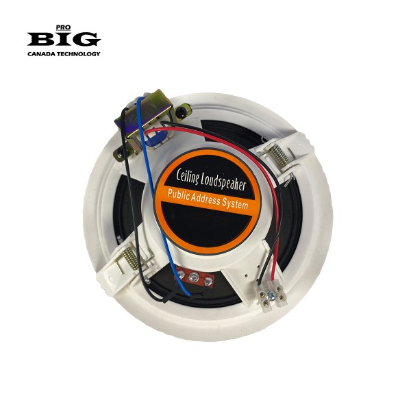 Вологостійкий стельовий динамік BIG CS2609