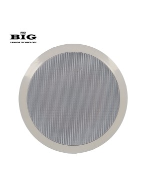 Стельова акустична система BIG CS601 + ВЧ твітер (2-смугова)