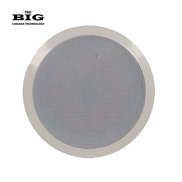 Стельова акустична система BIG CS601 + ВЧ твітер (2-смугова)