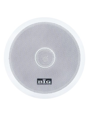 Стельова акустична система BIG CST602 + ВЧ твітер (2-смугова)