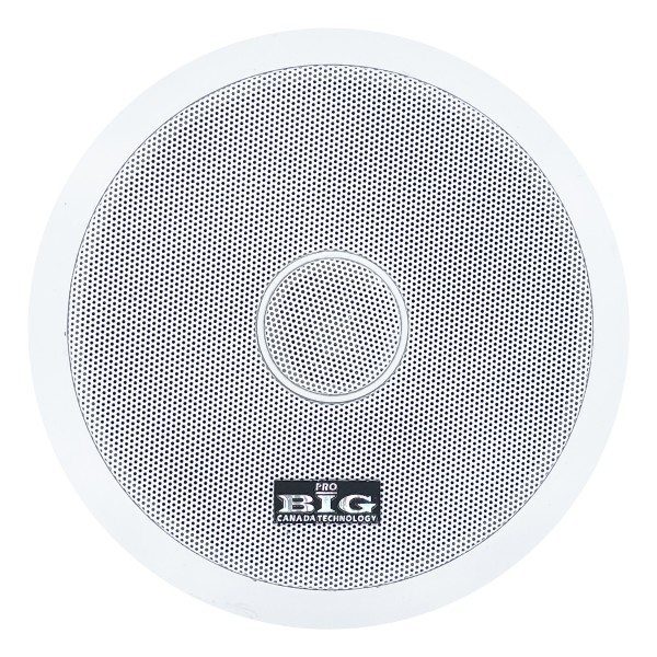 Стельова акустична система BIG CST602 + ВЧ твітер (2-смугова)