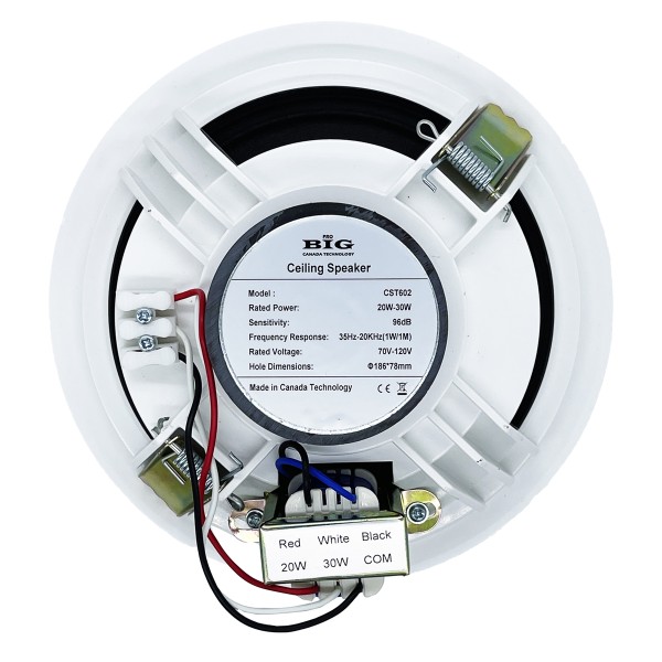 Стельова акустична система BIG CST602 + ВЧ твітер (2-смугова)