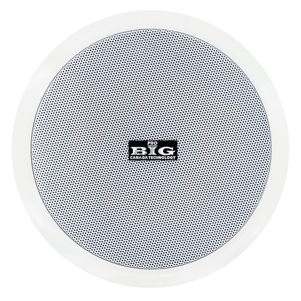 Стельова акустична система BIG CST601 + ВЧ твітер (2-смугова) Стельова акустична система BIG CST601 + ВЧ твітер (2-смугова)