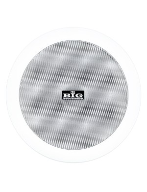 Стельовий гучномовець BIG CST505 + ВЧ твітер (2-смуговий)