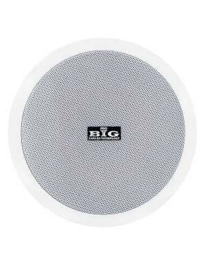 Стельовий гучномовець BIG CST605 + ВЧ твітер (2-смуговий)