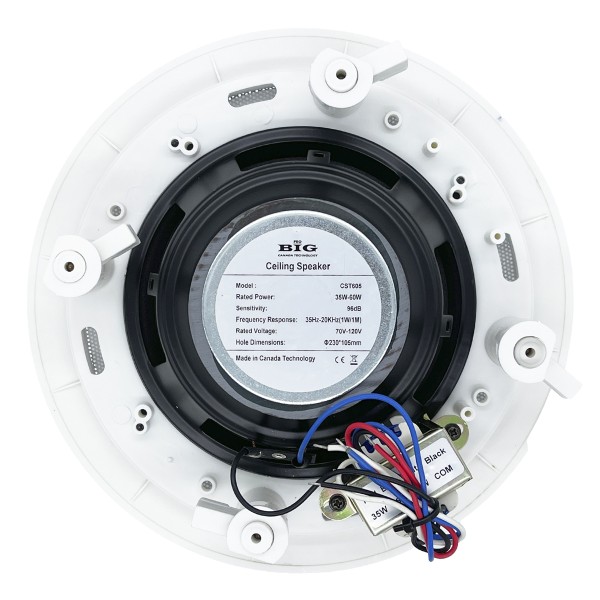 Стельовий гучномовець BIG CST605 + ВЧ твітер (2-смуговий) Стельовий гучномовець BIG CST605 + ВЧ твітер (2-смуговий)