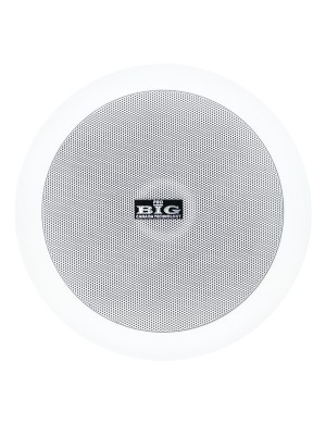 Стельовий гучномовець BIG CST508 + ВЧ твітер (2-смуговий)