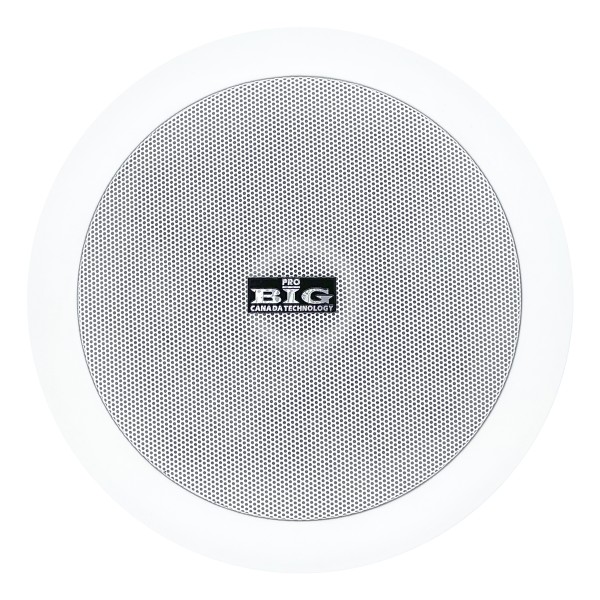 Стельовий гучномовець BIG CST508 + ВЧ твітер (2-смуговий)