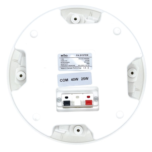 Стельовий гучномовець BIG CST508 + ВЧ твітер (2-смуговий)