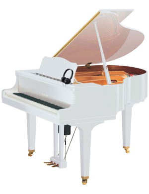 Дисклавир YAMAHA DGB1K ENST DISKLAVIER ENSPIRE ST (PWH)
