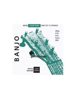 Струны для банджо Gallistrings G210