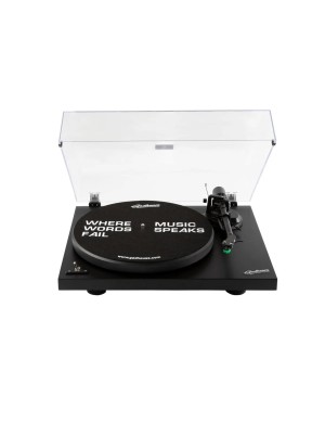 Виниловый проигрыватель Gadhouse Mathis Turntable Виниловый проигрыватель Gadhouse Mathis Turntable