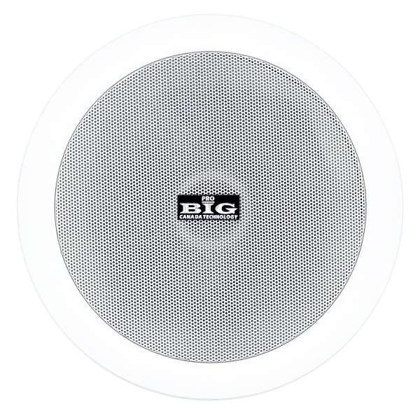 Стельовий гучномовець BIG CST608 + ВЧ твітер (2-смуговий)