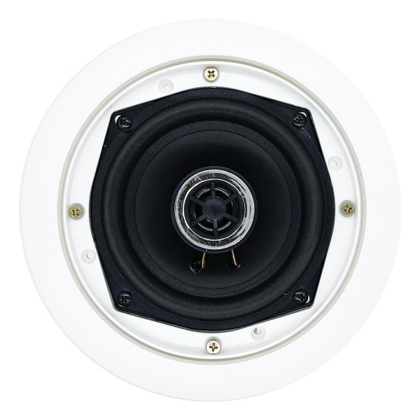 Стельовий гучномовець BIG CST608 + ВЧ твітер (2-смуговий)