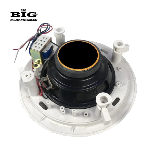 Стельова акустична система для сауни BIG SAUNA SOUND