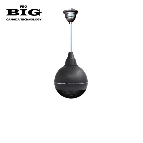 Підвісна акустична система BIG SOUND BALL 50W BLACK