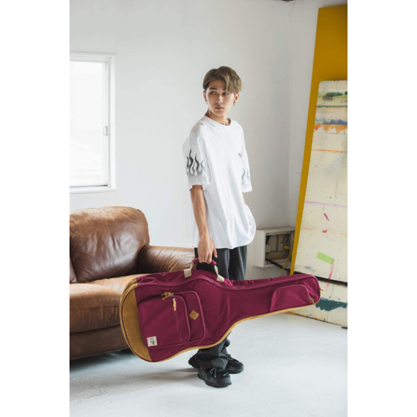 Чохол для акустичної гітари IBANEZ IAB541 WR