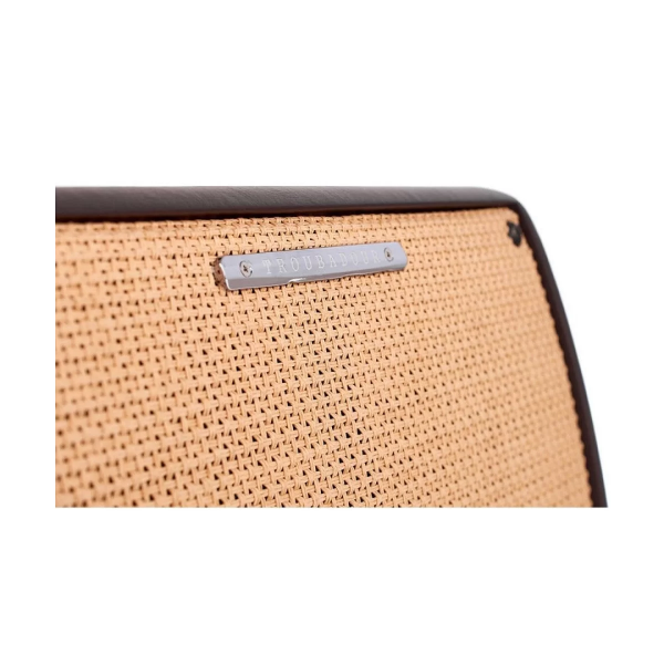 Гітарний комбопідсилювач IBANEZ T30II