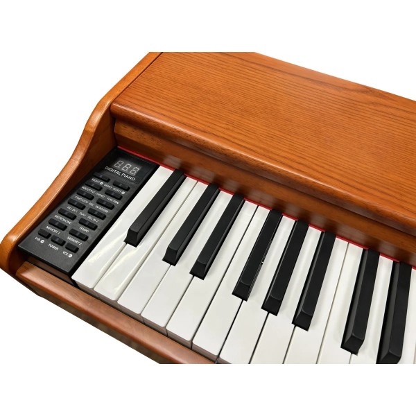 Цифрове піаніно Alfabeto Animato Assai Limited Edition