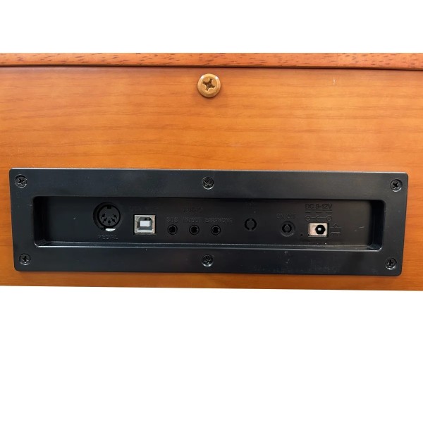 Цифрове піаніно Alfabeto Animato Assai Limited Edition