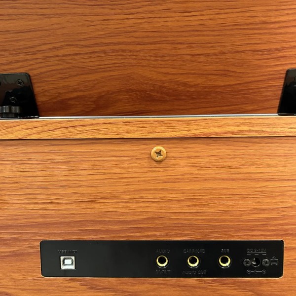 Цифрове піаніно Alfabeto Vivo (Orange)