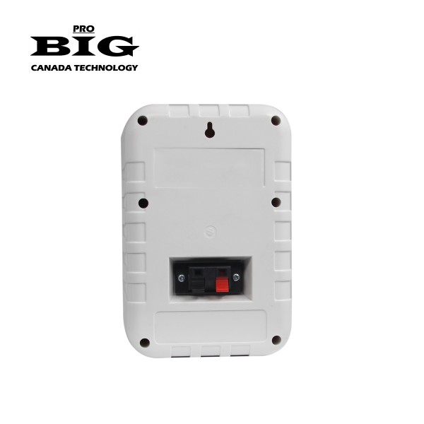 Акустична система BIG MSB401 WHITE 100V/8Ω