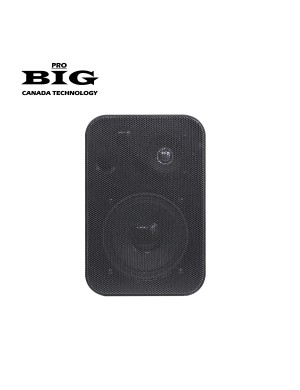 Акустическая система BIG MSB401 BLACK 100V/8Ω