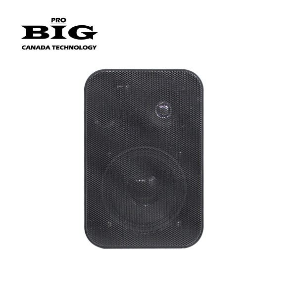 Акустична система BIG MSB401 BLACK 100V/8Ω Акустична система BIG MSB401 BLACK 100V/8Ω
