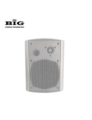 Настенная акустическая система BIG MSB404-8Ohm/100V WHITE 60W
