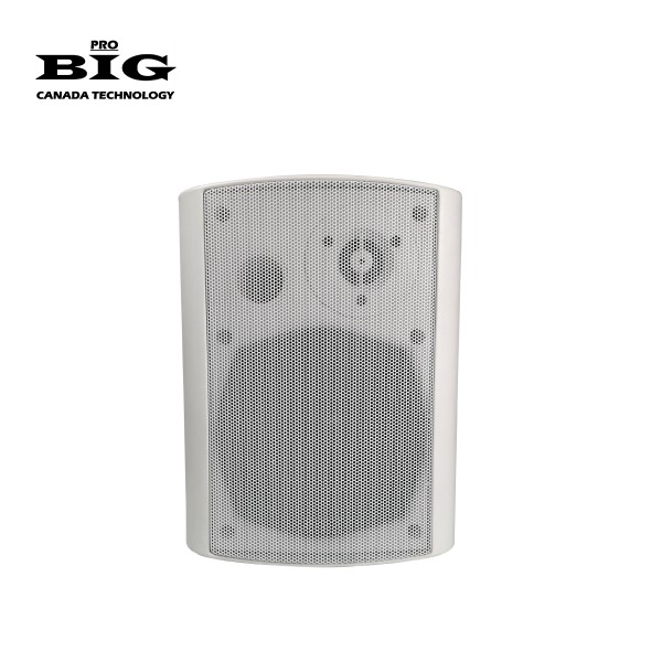 Настінна акустична система BIG MSB404-8Ohm/100V WHITE 60W