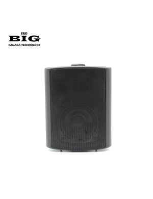 Настенная акустическая система BIG MSB404-8Ohm/100V BLACK 60W
