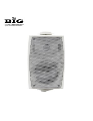 Настенная акустическая система BIG MSB410-8Ohm/100V WHITE 60W