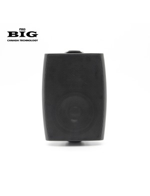 Настенная акустическая система BIG MSB410-8Ohm/100V BLACK 60W