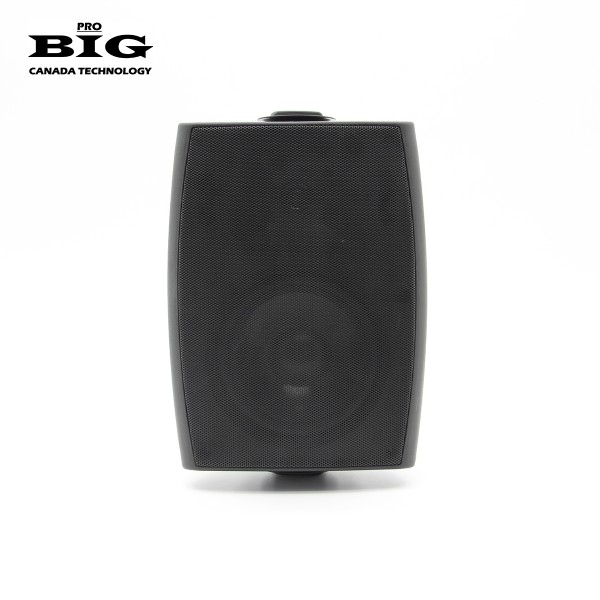 Настінна акустична система BIG MSB410-8Ohm/100V BLACK 60W