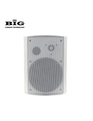 Настенная акустическая система BIG MSB504-8Ohm/100V WHITE 80W
