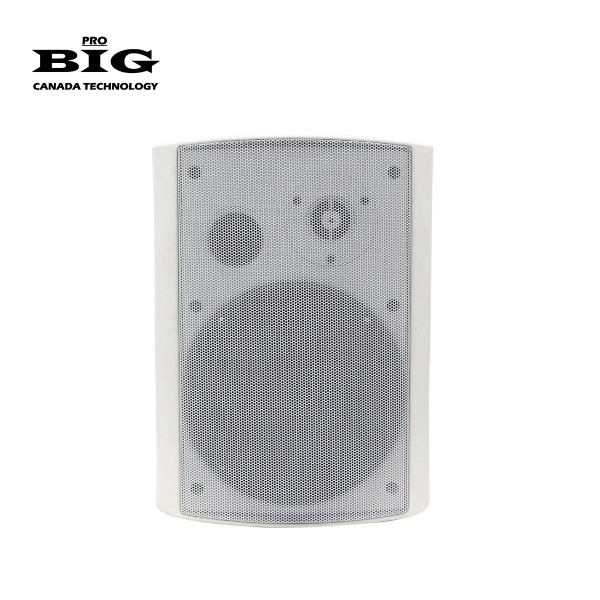 Настінна акустична система BIG MSB504-8Ohm/100V WHITE 80W