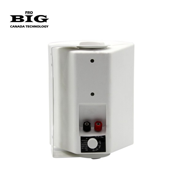 Настінна акустична система BIG MSB504-8Ohm/100V WHITE 80W