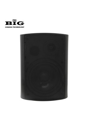 Настенная акустическая система BIG MSB504-8Ohm/100V BLACK 80W