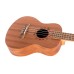 Укулеле Flight NUT310 Tenor