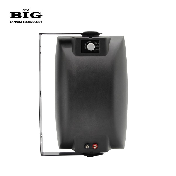Настінна акустика BIG MSB810-8Ohm/100V BLACK 180W