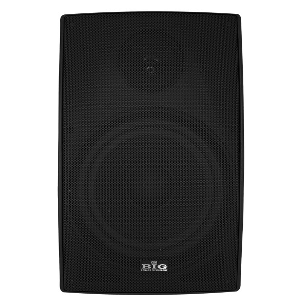 Настінна акустика BIG MSB888-8Ohm/100V BLACK 180W