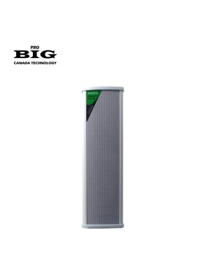 Всепогодна настінна акустична система BIG TOWER90 + 3 COXIAL TWEETERS