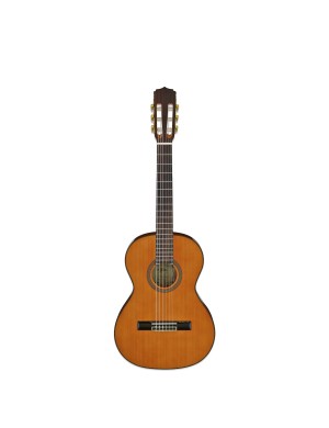 Классическая гитара Aria A-20-58 N Классическая гитара Aria A-20-58 N
