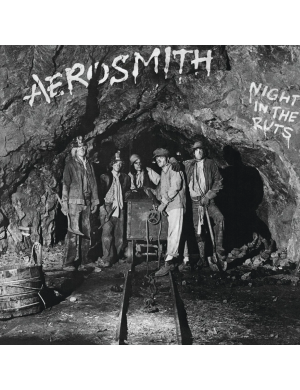 Вінілова платівка Aerosmith - Night In The Ruts [LP]