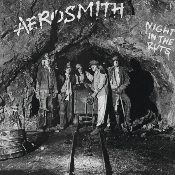 Вінілова платівка Aerosmith - Night In The Ruts [LP]